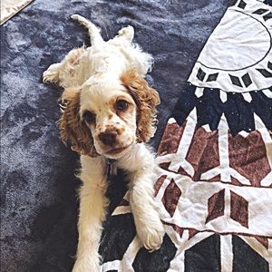 Meet your Posher, Hillary